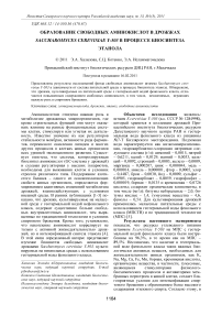 Образование свободных аминокислот в дрожжах Saccharomyces cerevisiae Y-503 в процессе биосинтеза этанола