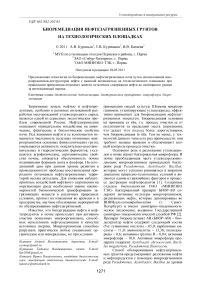 Биоремедиация нефтезагрязненных грунтов на технологических площадках