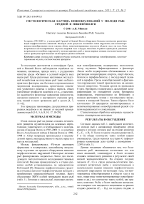 Гистологическая картина новообразований у молоди рыб Средней и Нижней Волги