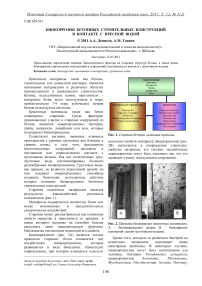 Биокоррозия бетонных строительных конструкций в контакте с пресной водой