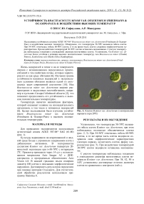 Устойчивость Bracteacoccus minor var. Desertorum (Friedmann & Ocampo-Paus) к воздействию высоких температур