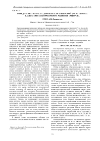 Определение возраста деревьев ели сибирской (Picea obovata Ledeb.) при ксилоризомном развитии подроста