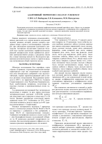 Адаптивный морфогенез Solanum tuberosum