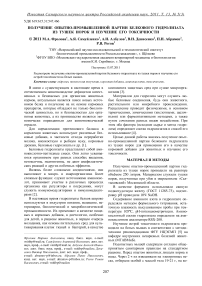 Получение опытно-промышленной партии белкового гидролизата из тушек норок и изучение его токсичности