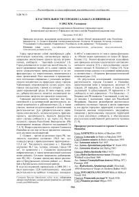 К растительности городов Салавата и Ишимбая