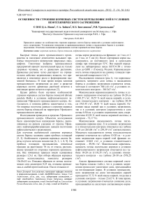 Особенности строения корневых систем березы повислой в условиях нефтехимического загрязнения