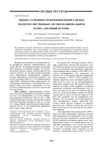 Оценка успешности возобновления ели под пологом лиственных лесов в национальном парке «Лосиный остров»