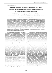 Морские водоросли – перспективный источник полифенольных антиоксидантов и комплексов эссенциальных фосфолипидов