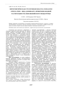 Онтогенетическая стратегия Beckmannia syzigachne (Steud.) Fern – вида доминанта прибрежно-водной растительности Лено-Вилюйского междуречья