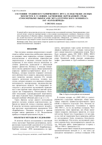 Состояние травяно-кустарничкового яруса и подстилки лесных экосистем в условиях загрязнения окружающей среды атмосферными выбросами металлургического комбината