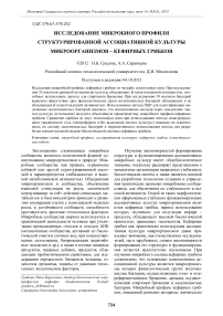 Исследование микробного профиля структурированной ассоциативной культуры микроорганизмов – кефирных грибков