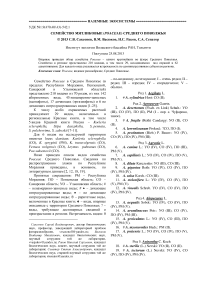 Семейство Мятликовые (Poaceae) Среднего Поволжья