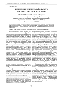 Интродукции шлемника байкальского в условиях юга Приморского края