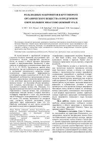 Роль водных макрофитов в круговороте органического вещества в предгорном озере Большое Миассово (Южный Урал)