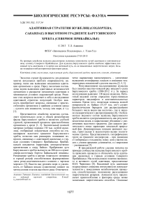 Адаптивная стратегия жужелиц (Coleoptera, Carabidae) в высотном градиенте Баргузинского хребта (Северное Прибайкалье)