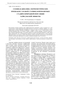 Сезонная динамика морфометрических признаков у особей старших копеподитных стадий в природной популяции байкальской эпишуры