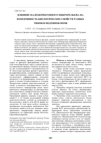 Влияние палеокриогенного микрорельефа на изменчивость биологических свойств разных типов и подтипов почв