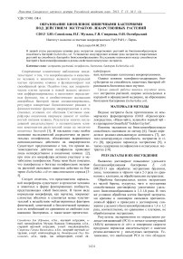 Образование биопленок кишечными бактериями под действием экстрактов лекарственных растений