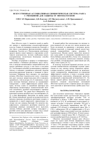 Искусственная ассоциативная симбиотическая система рапса с ризобиями для защиты от фитопатогенов