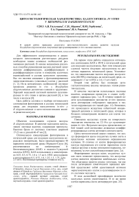 Цито-гистологическая характеристика каллусогенеза in vitro у Bryophyllum daigremontianum