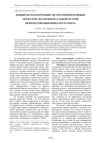 Новый метод коррекции экскреторной функции почек при экспериментальной острой нефропатии ишемического генеза