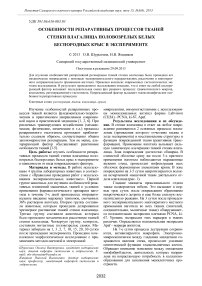 Особенности репаративных процессов тканей стенки влагалища половозрелых белых беспородных крыс в эксперименте