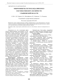 Микромицеты лесов Кандалинского и Кузоватовского лесничеств Ульяновской области