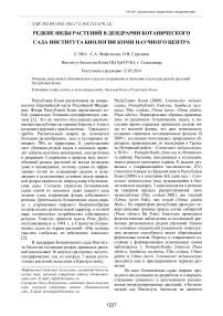 Редкие виды растений в дендрарии Ботанического сада института биологии Коми научного центра