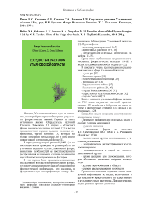 Раков Н. С., Саксонов С. В., Сенатор С. А., Васюков В. М. Сосудистые растения Ульяновской области / под. ред. Н. Н. Цвелева. Флора Волжского бассейна. Т. 2. Тольятти: Кассандра, 2014. - 295 с