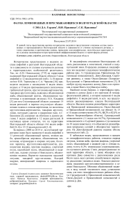 Фауна земноводных и пресмыкающихся Волгоградской области