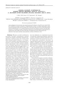 Доноры полевой устойчивости яровой мягкой пшеницы (Triticum aestivum L.) к листовой бурой ржавчине  (Puccinia recondita Rob ex Desm)