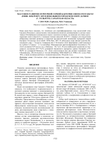 Массовое развитие пурпурной серной бактерии Chromatium okenii (Ehrb. 1838) Perty 1852 в небольшом городском озере Дачное (г. Тольятти, Самарская область)