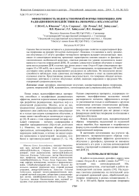 Эффективность водорастворимой формы гиперицина при радиационном воздействии на Drosophila melanogaster