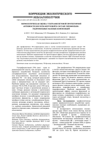 Морфологическая оценка ультрафиолетовой протекторной активности кислоты феруловой в составе липофильно-гидрофильных мазевых композиций