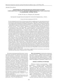 Изменчивость морфологических признаков растений и виталитетная структура ценопопуляций видов рода Tulipa (Liliaceae) в заповеднике "Черные земли"