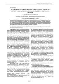 Разработка Пакера гидравлического для разобщения интервалов открытого ствола скважины при многостадийном закачивании скважин