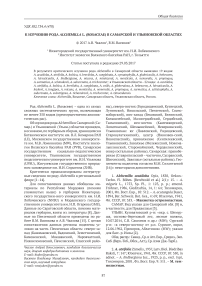 К изучению рода Alchemilla L. (Rosaceae) в Самарской и Ульяновской областях