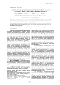 Особенности репродукции коротконожки перистой Brachypodium pinnatum (L.) Breauv. в условиях Саратовской области