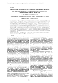 Почвообразование, элементарные почвообразовательные процессы, твердофазные продукты функционирования элементарных почвообразовательных процессов