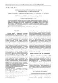 Селекция на зимостойкость и продуктивность озимого ячменя в Самарском НИИСХ