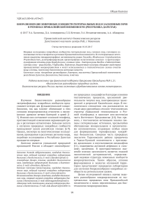 Биоразнообразие микробных сообществ геотермальных вод и засоленных почв в регионах Прикаспийской низменности (Республика Дагестан)