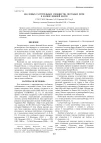 Два новых растительных сообщества песчаных почв в долине Нижней Волги