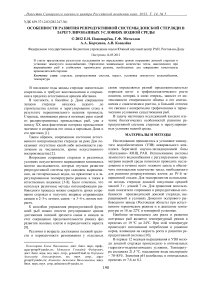 Особенности развития репродуктивной системы донской стерляди в зарегулированных условиях водной среды