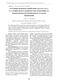 Состояние ценопопуляций Medicago falcata L. в условиях Центральной Якутии: изменчивость морфологических признаков и стратегия выживания