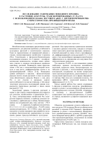 Исследование содержания свободного пролина в растениях кукурузы, трансформированных in planta с использованием LBA4404, несущего PBI2E с двухцепочечным рнк-супрессором гена пролиндегидрогеназы