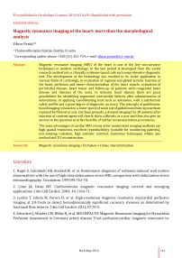 Magnetic resonance imaging of the heart: more than the morphological analysis