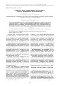 Устойчивость некоторых сортов сорговых культур к разнокачественному засолению почвы