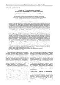 Новый сорт яровой мягкой пшеницы полуинтенсивного типа тулайковская победа