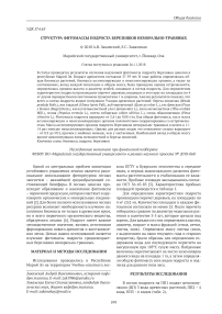 Структура фитомассы подроста березняков неморально-травяных