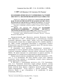 Коллекция древесно-кустарниковых растений Института экологии Волжского бассейна РАН